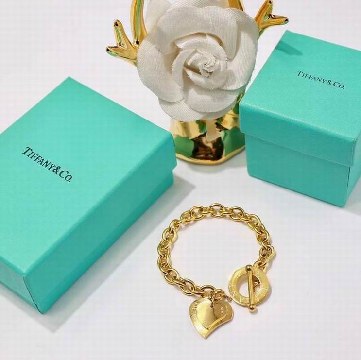 Tiffany&Co Bracelets 251
